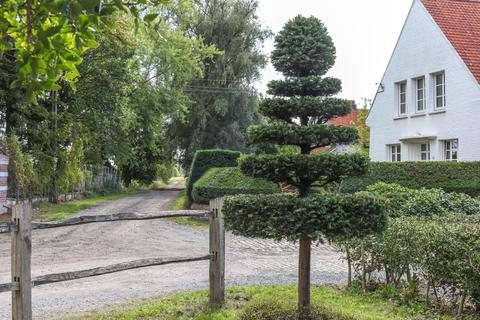 Arbres palissés et topiaires